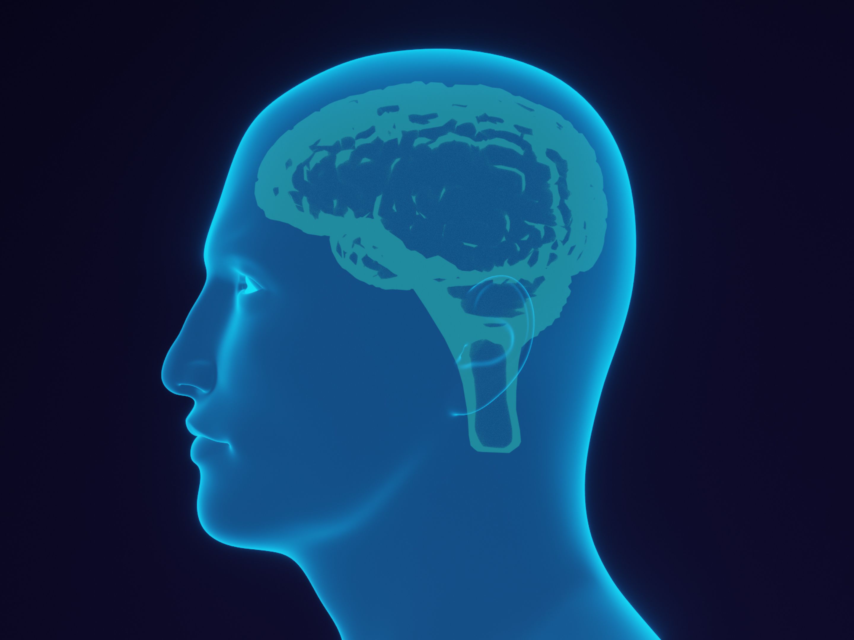 Röntgenähnliche Darstellung eines menschlichen Kopfprofils mit hervorgehobener Gehirnstruktur in blauer Leuchtfarbe, was auf die kognitive und strategische Planung hinweist, die auch im günstigsten Preis-Paket enthalten ist.